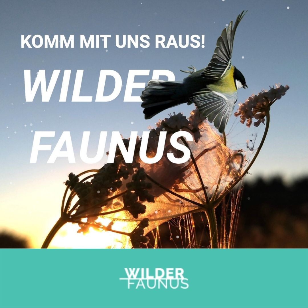 Wilder Faunus – Raus in die Natur