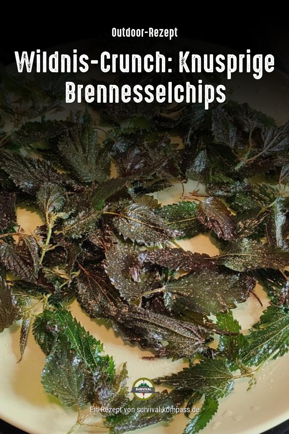 Wildnis-Crunch: Knusprige Brennesselchips