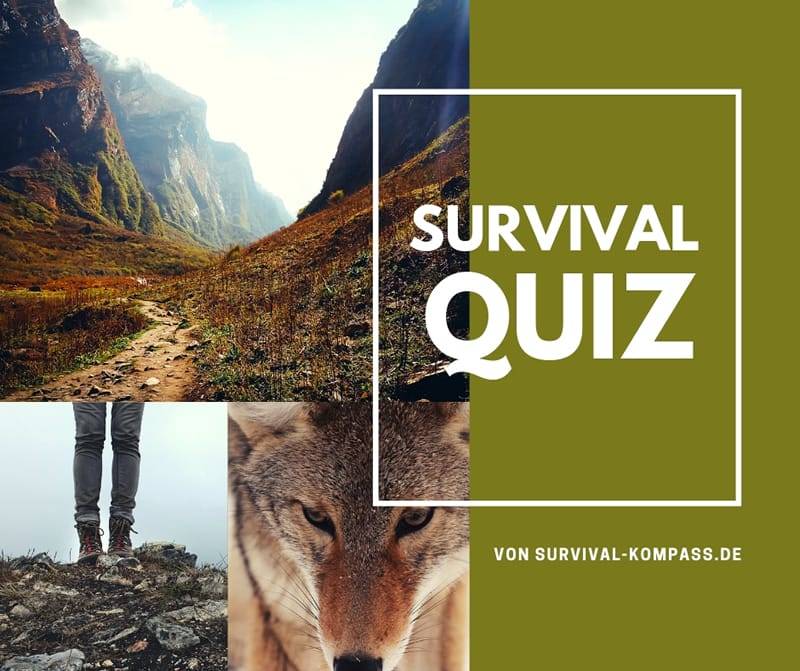 Mach Das Survival Quiz Und Erfahre Wie Gut Du Bist