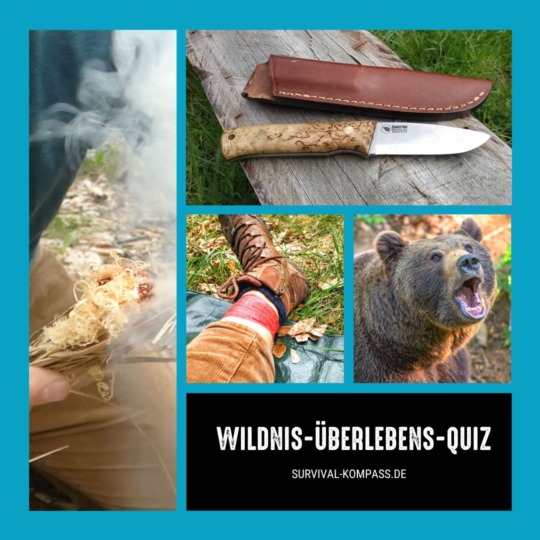 Wildnis-Überlebens-Quiz