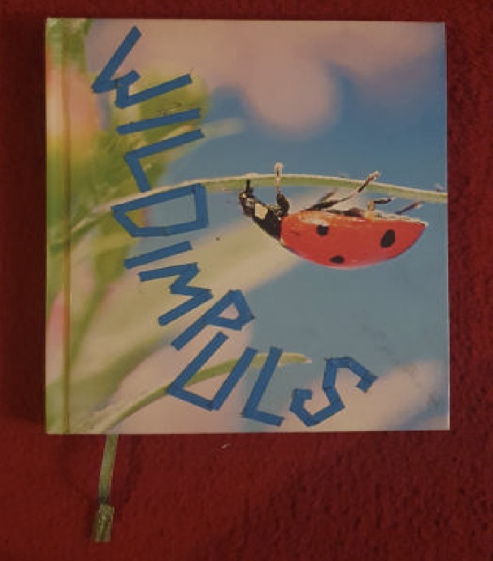 Alines handgeschriebenes Dokubuch mit Missionen