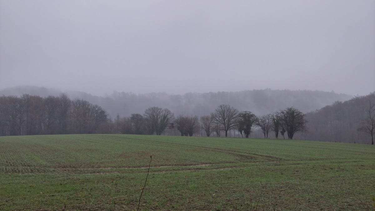 Sven in der Wintersaison