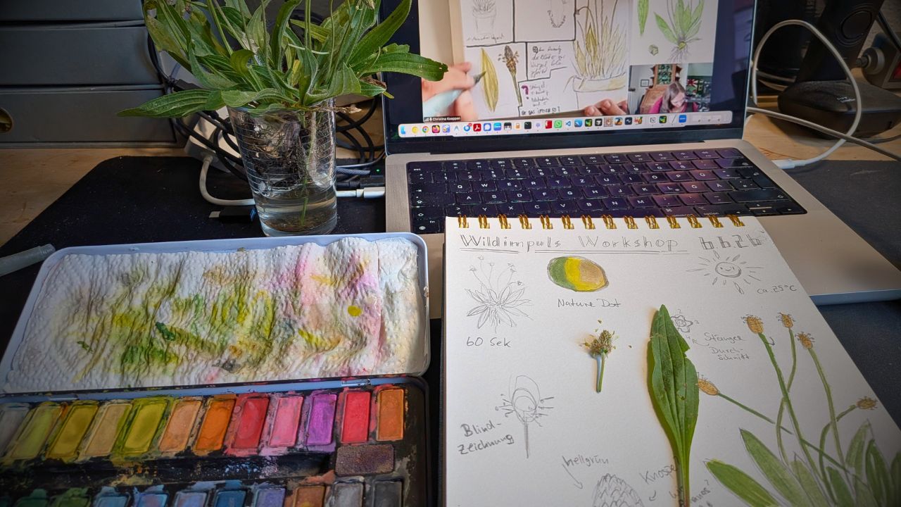 Nature Journaling per Zoom